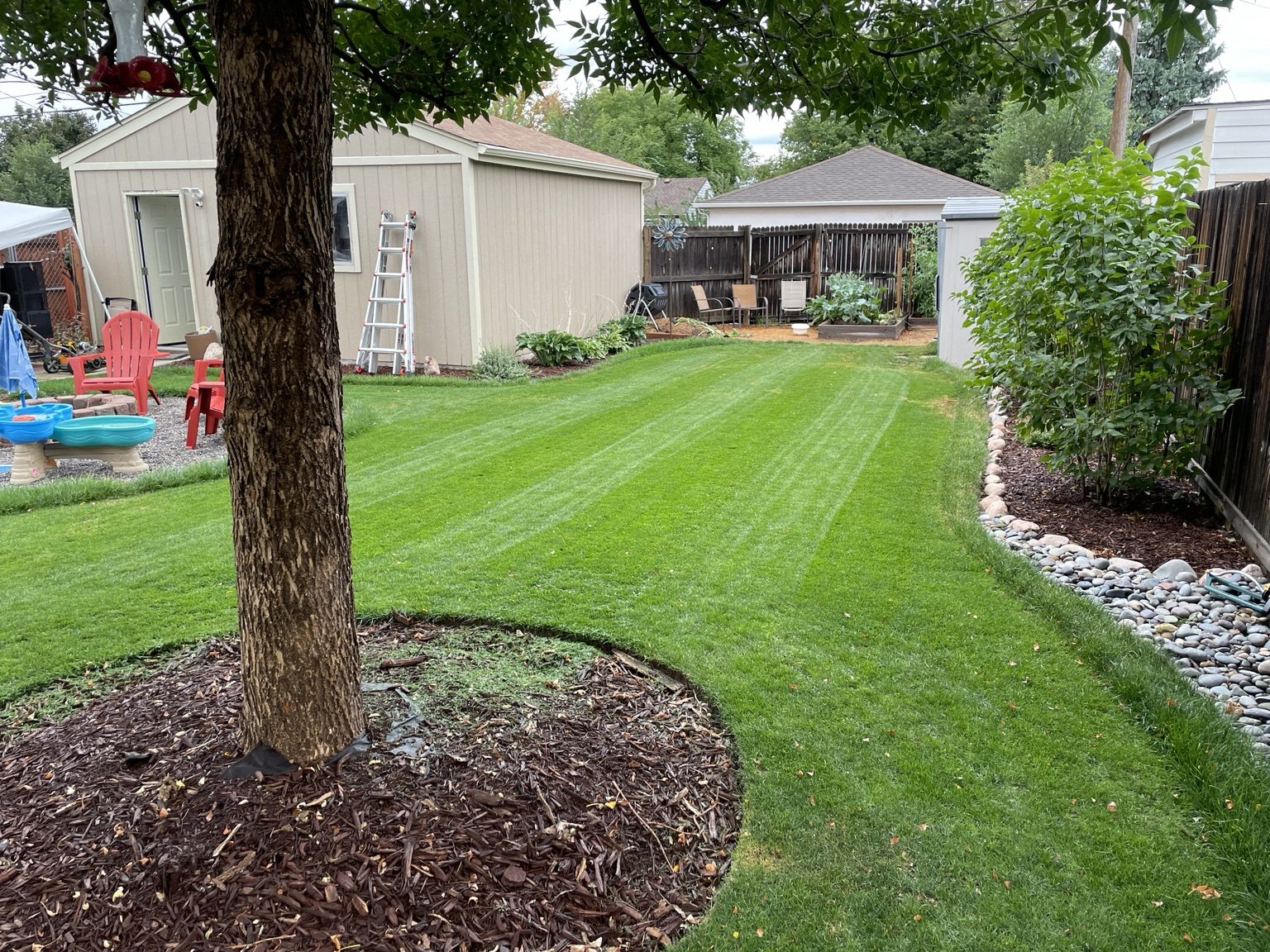 Finished lawn with planted borders